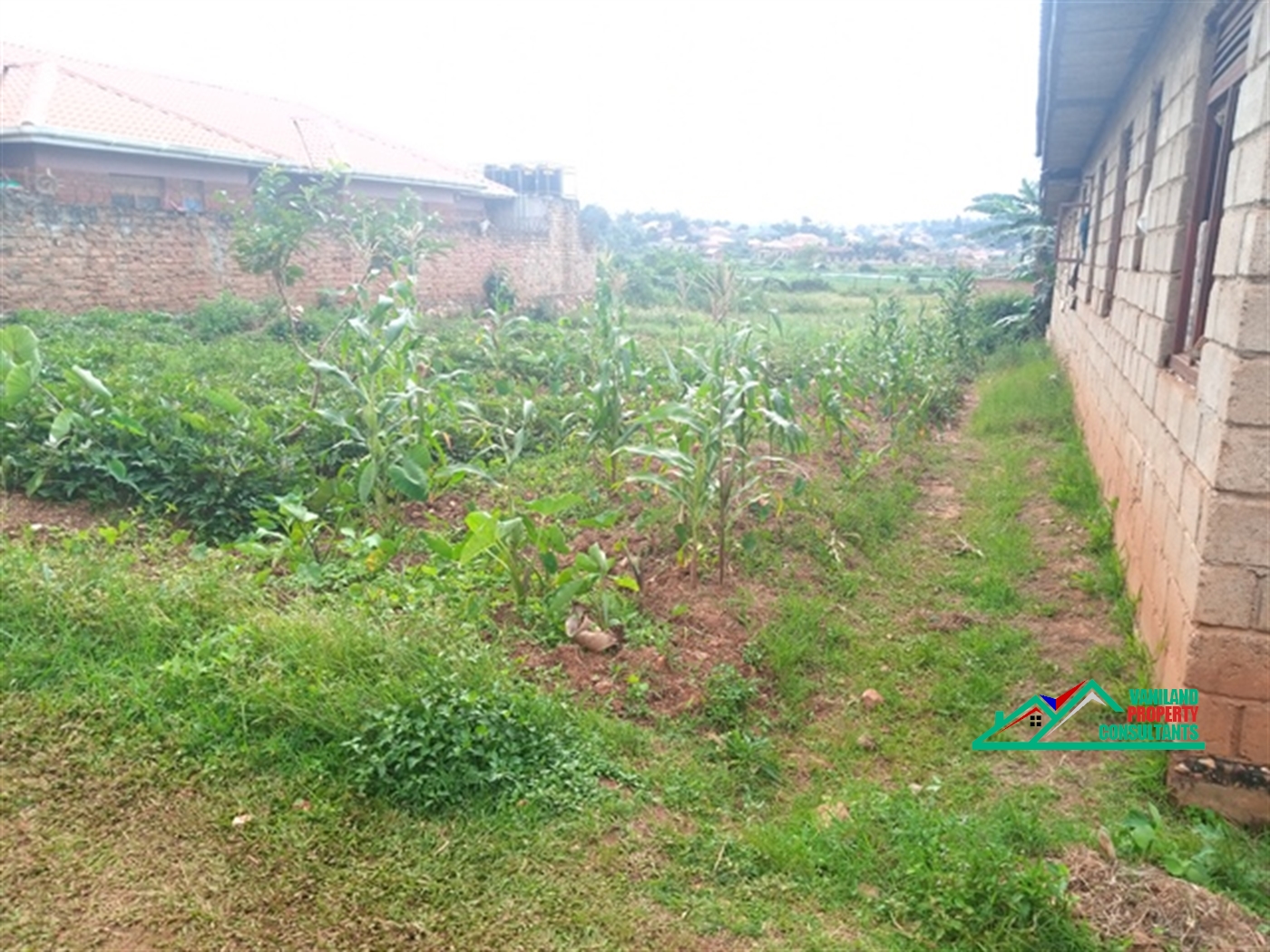 Residential Land for sale in Seeta Mukono