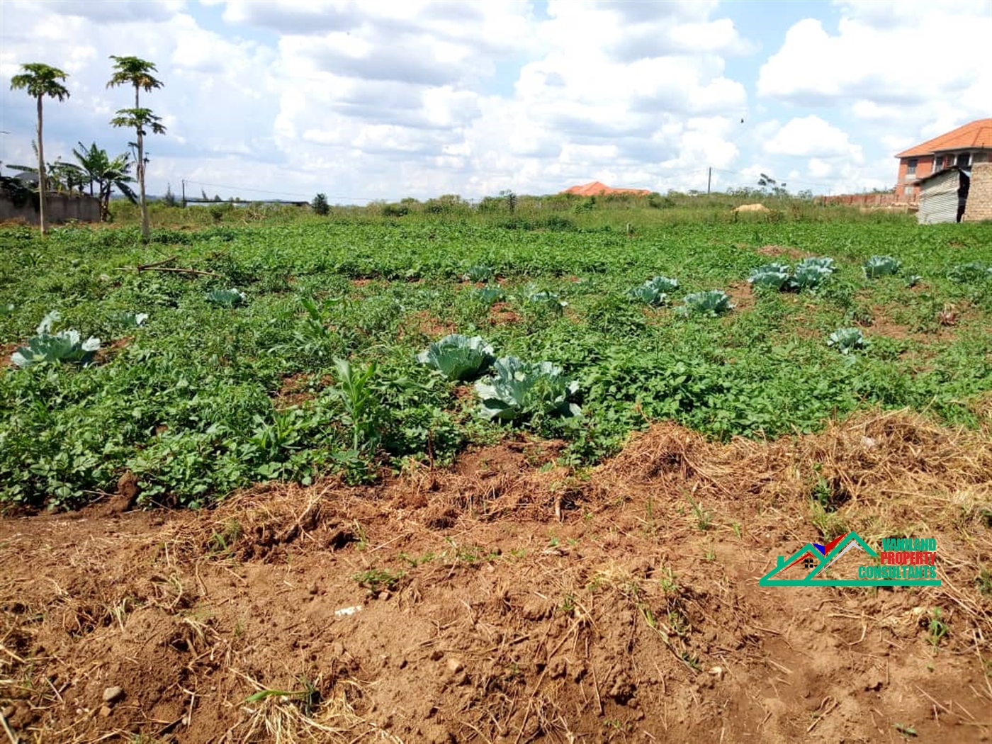 Residential Land for sale in Kira Wakiso