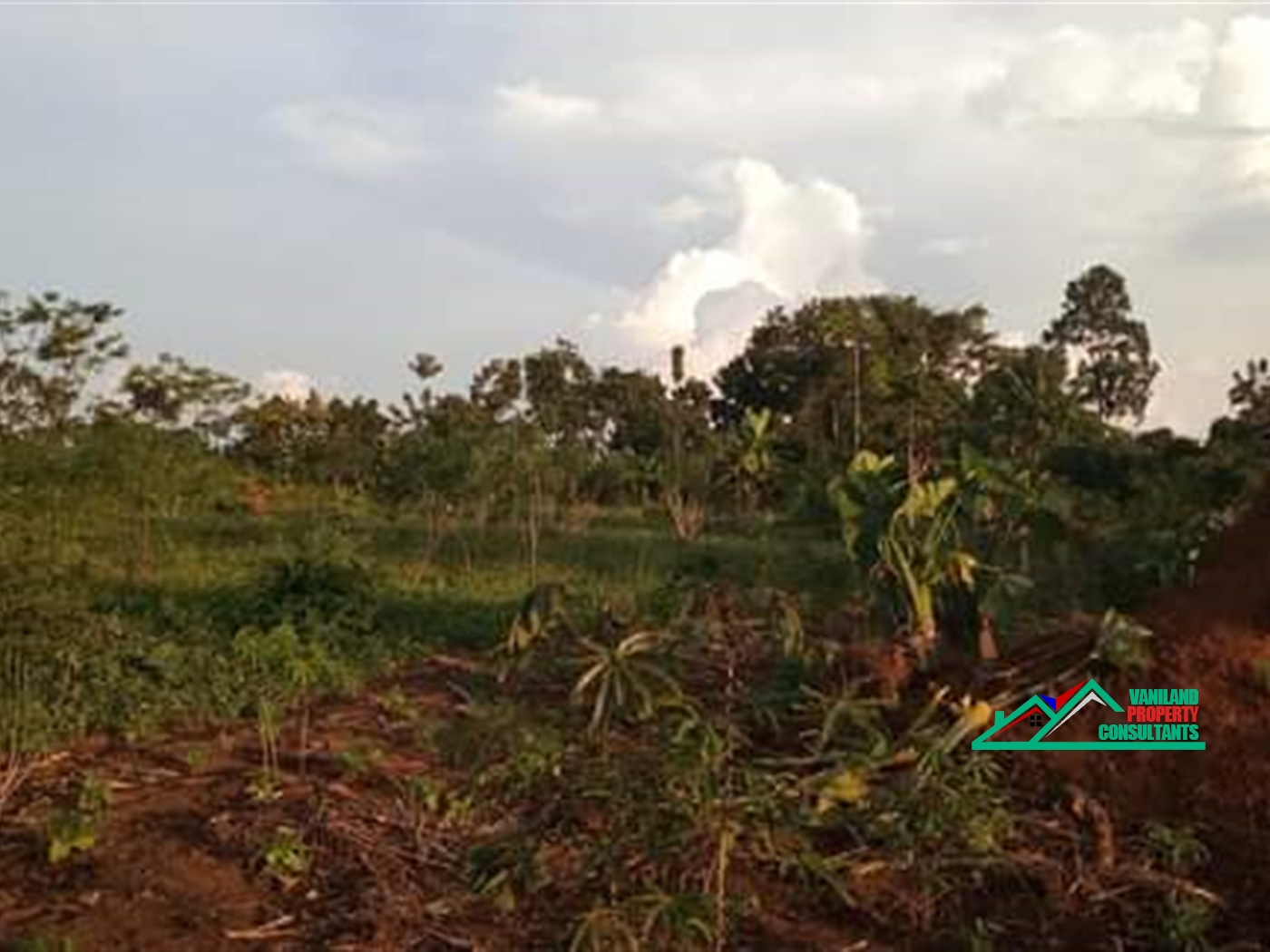 Residential Land for sale in Bukeelele Mukono