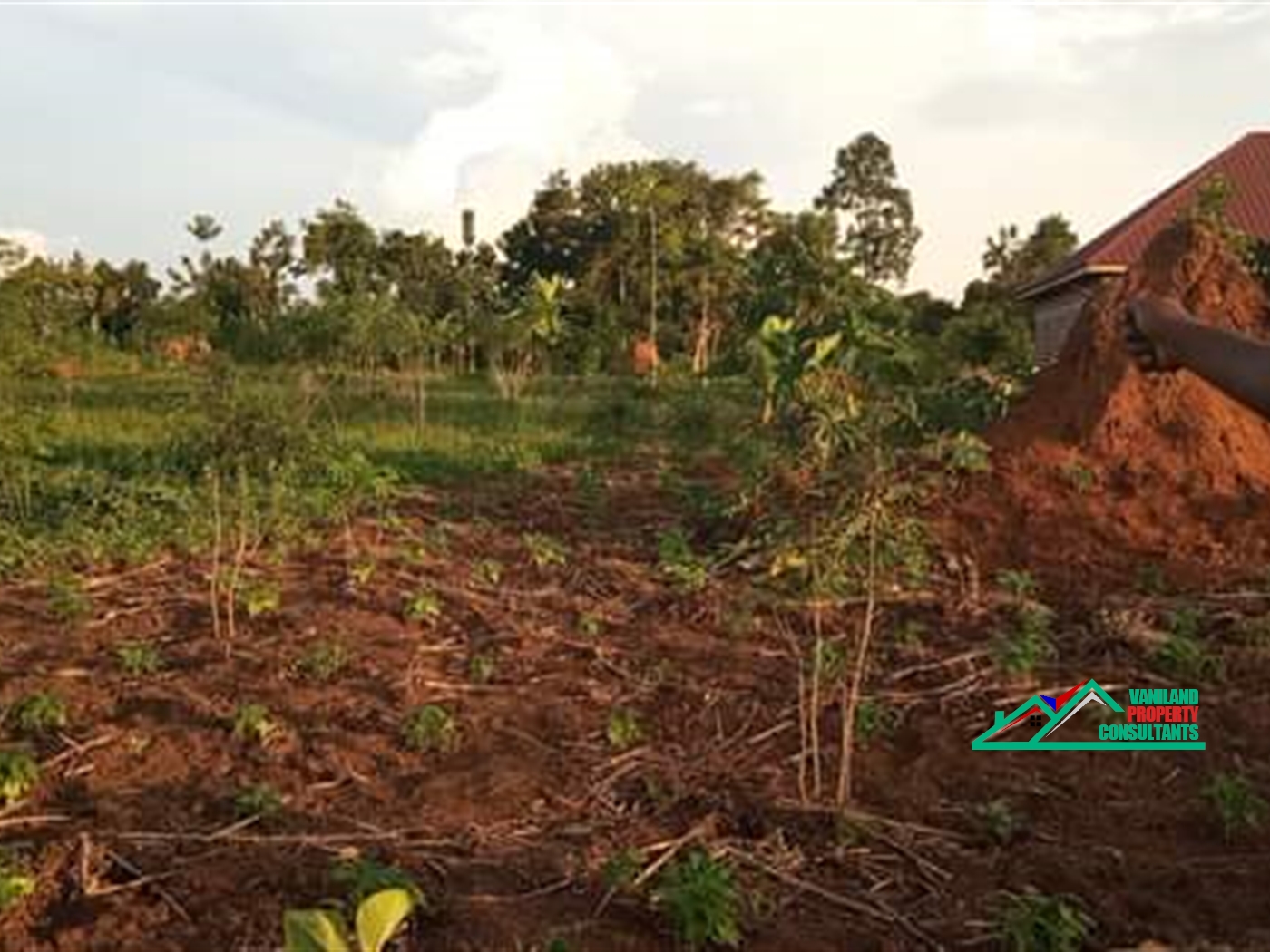 Residential Land for sale in Bukeelele Mukono