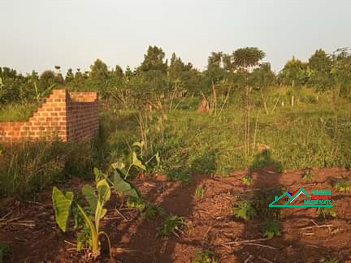 Residential Land for sale in Bukeelele Mukono