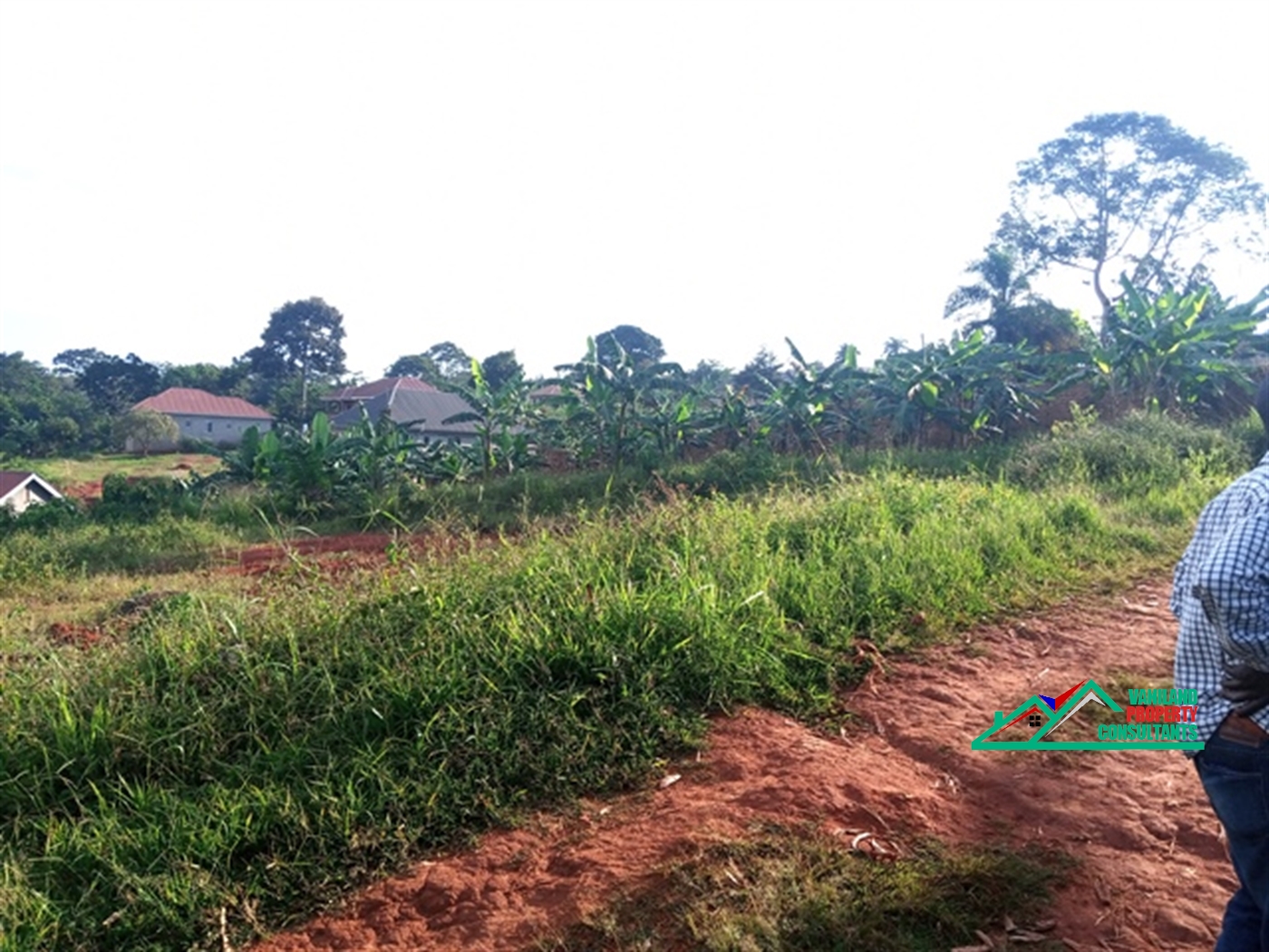 Residential Land for sale in Bukeelele Mukono