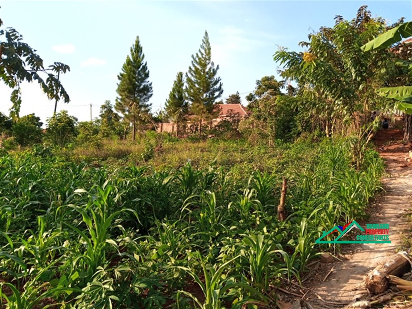 Residential Land for sale in Bukeelele Mukono