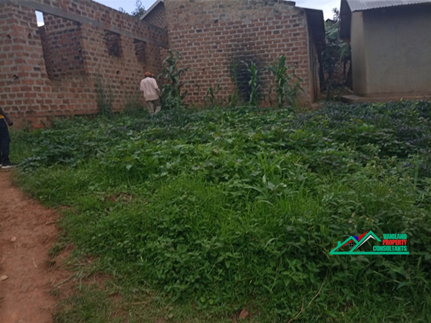 Residential Land for sale in Mukono Mukono