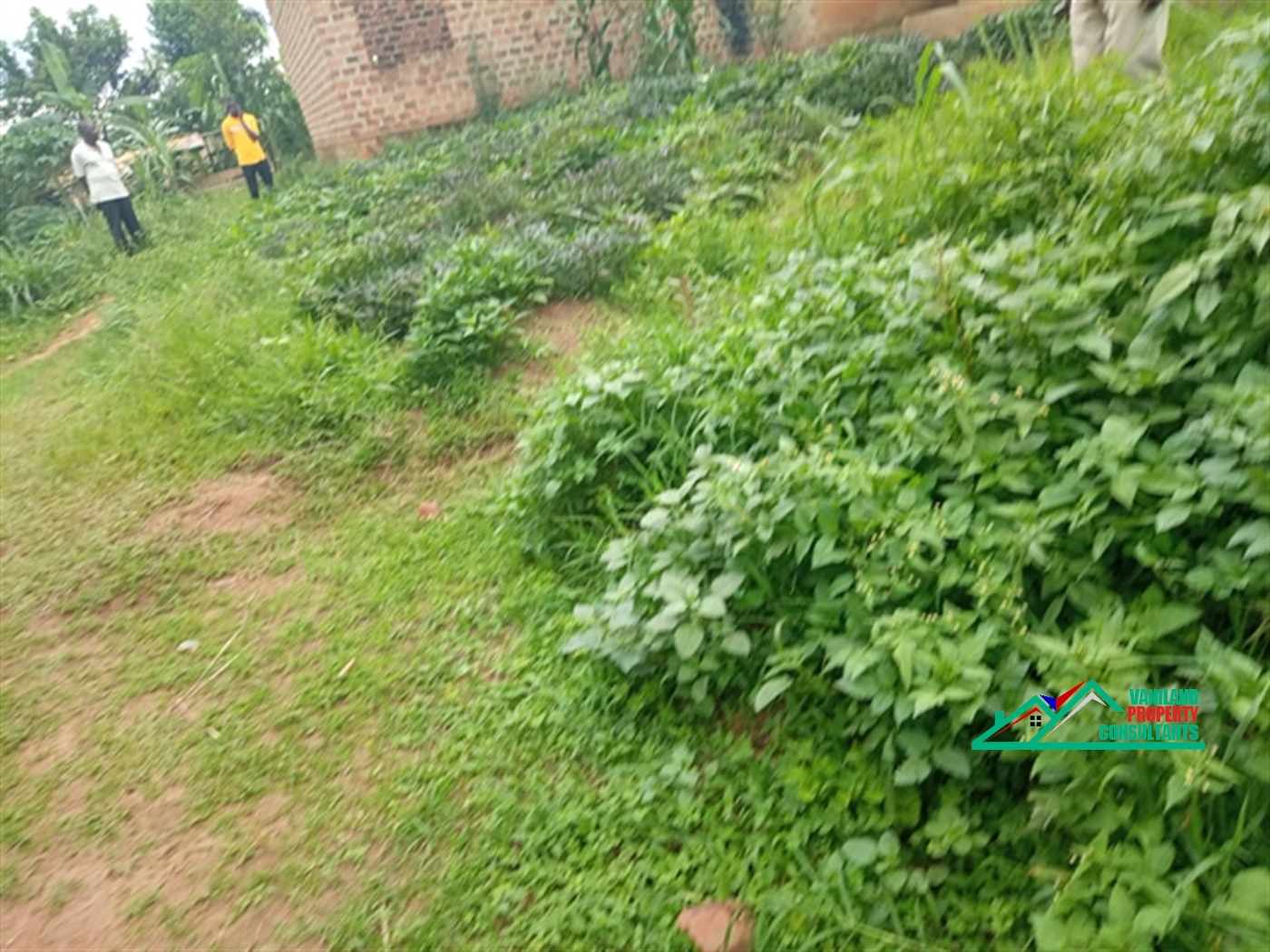 Residential Land for sale in Mukono Mukono