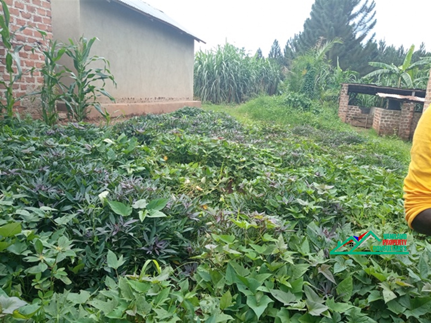 Residential Land for sale in Mukono Mukono