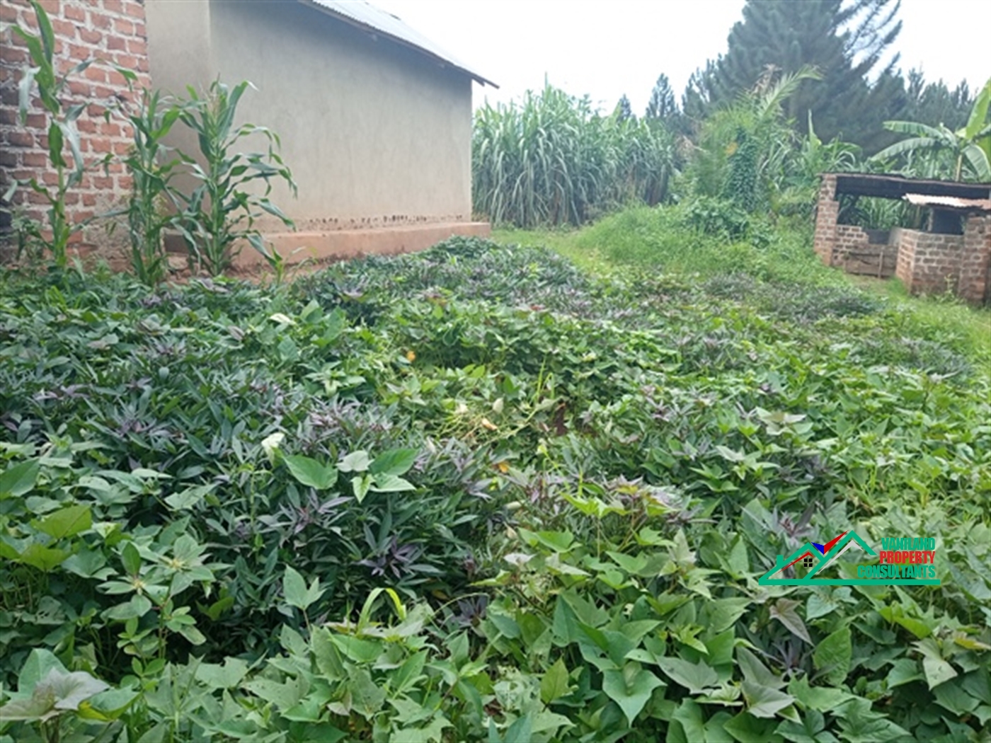 Residential Land for sale in Mukono Mukono