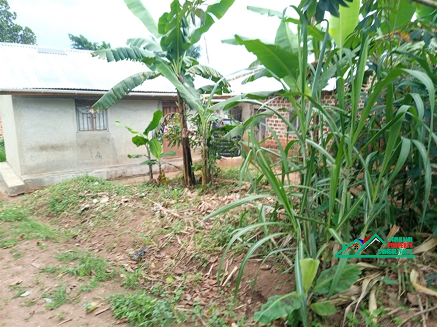 Semi Detached for sale in Mukono Mukono