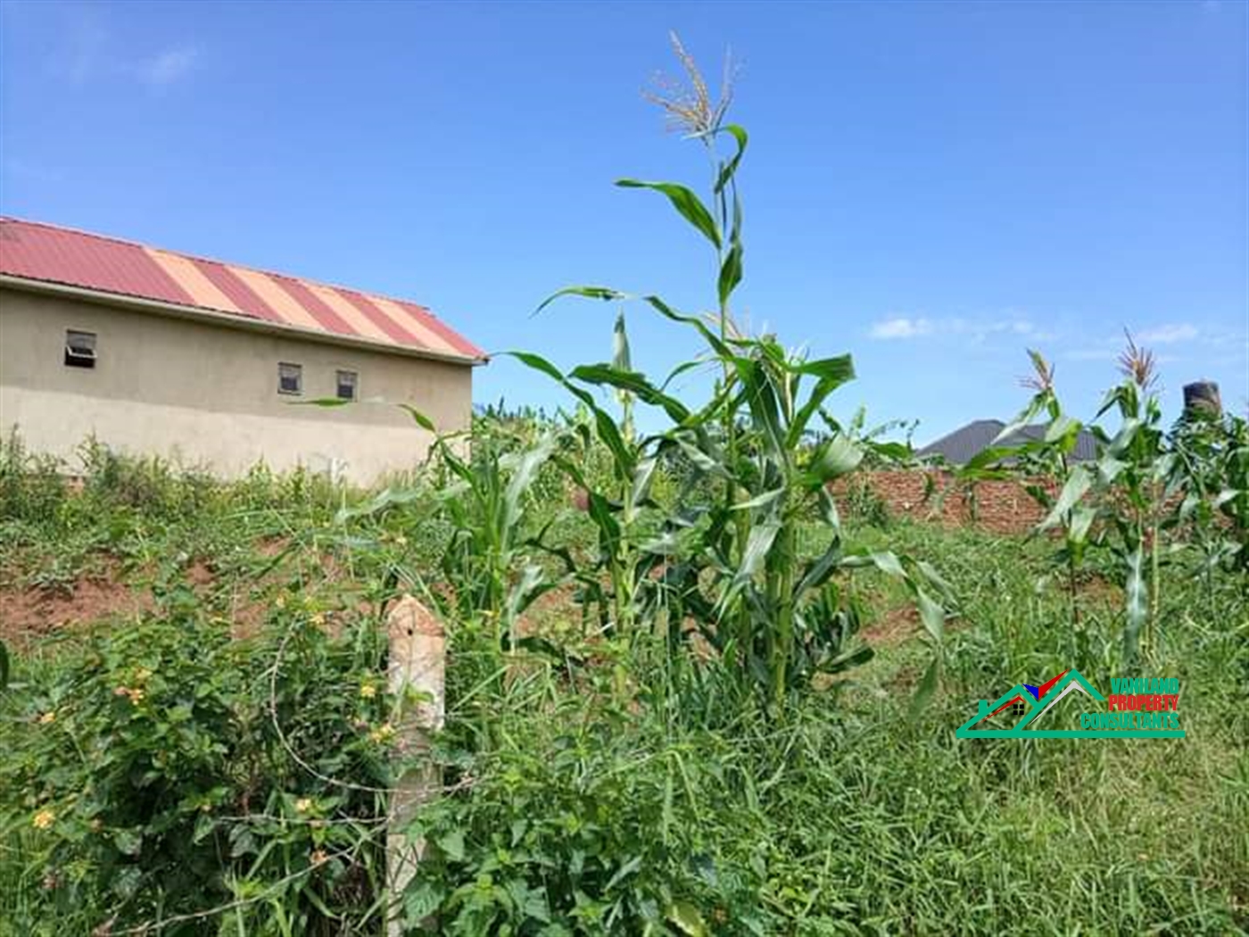 Residential Land for sale in Mukono Mukono