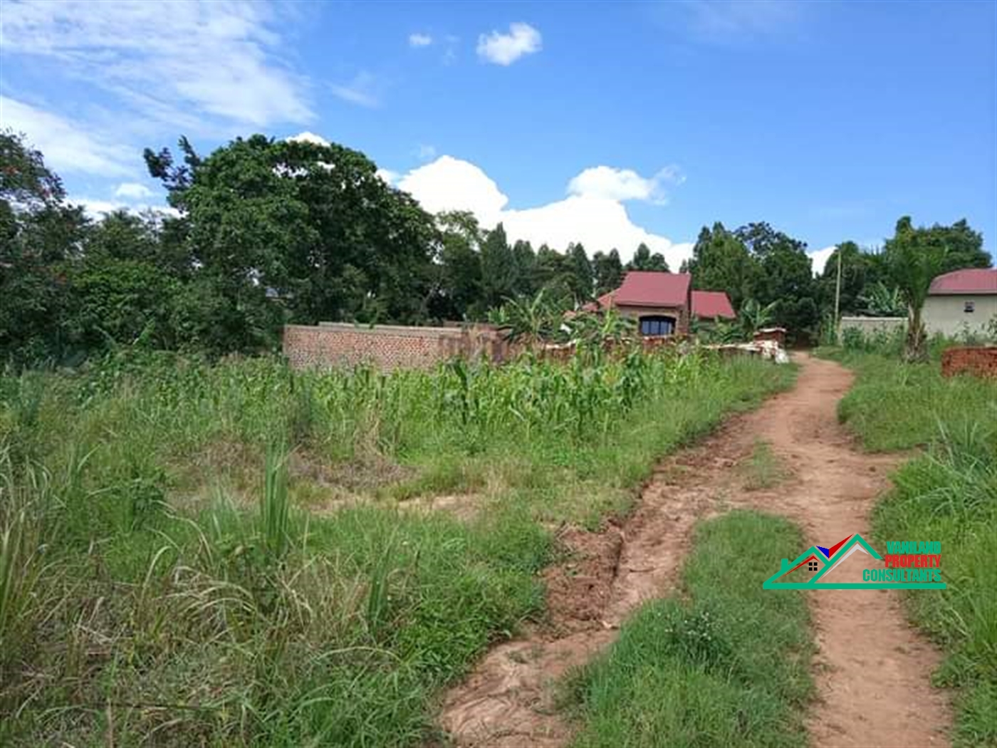 Residential Land for sale in Bukeelele Mukono