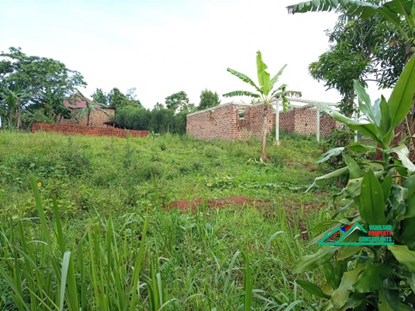 Residential Land for sale in Bukeelele Mukono