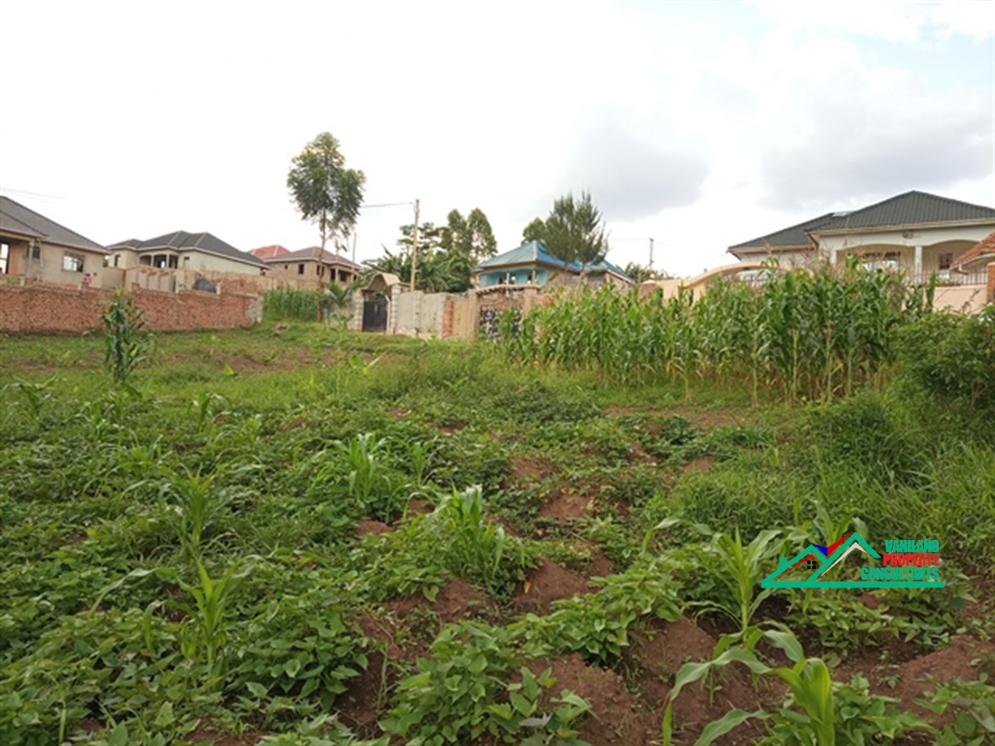 Residential Land for sale in Seeta Mukono