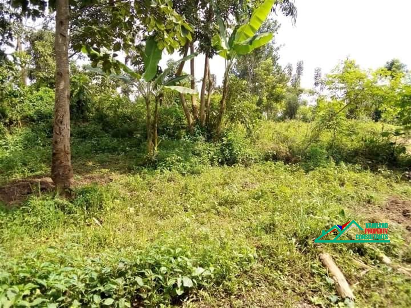 Residential Land for sale in Bukeelele Mukono