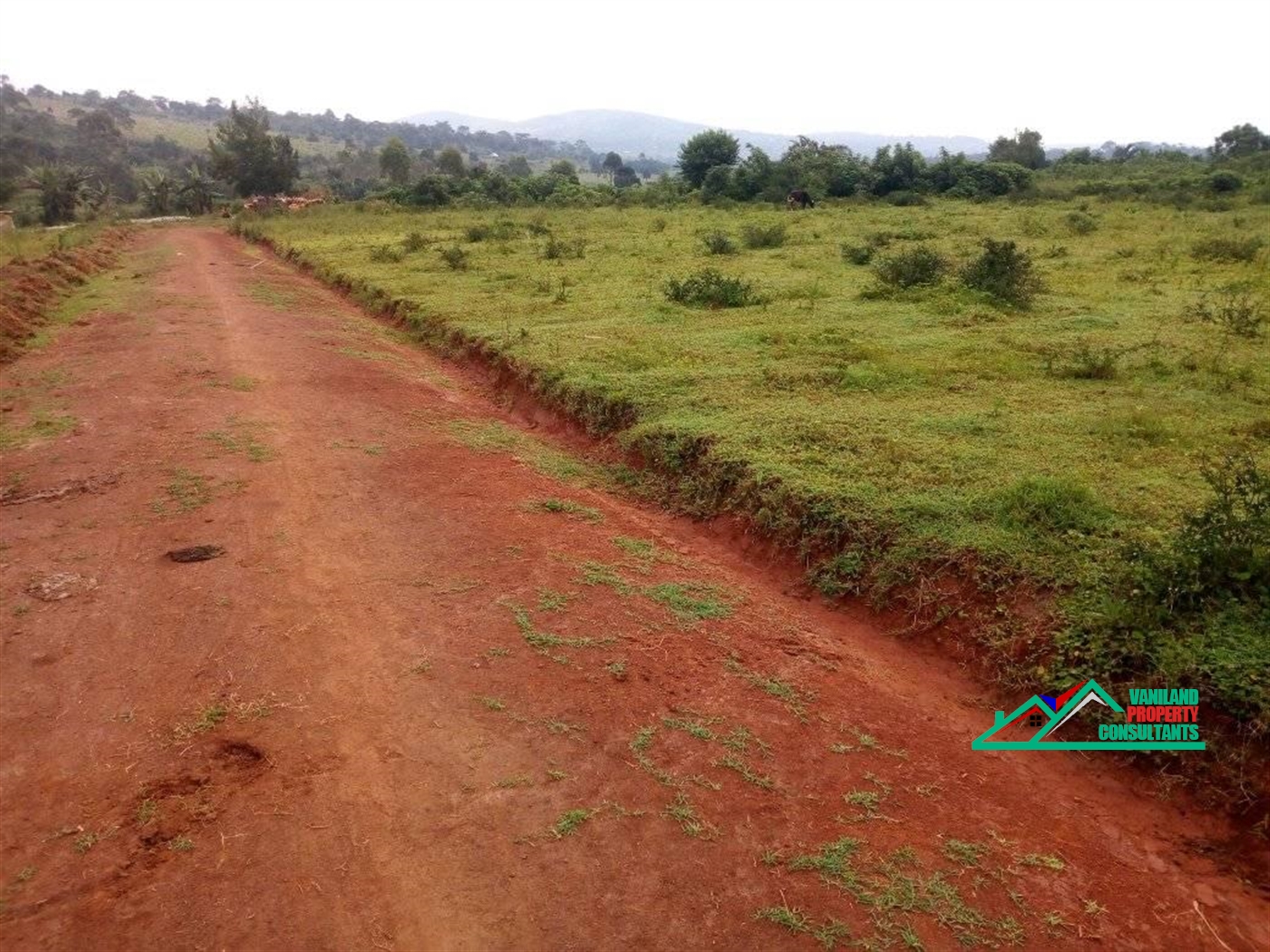 Residential Land for sale in Mukono Mukono