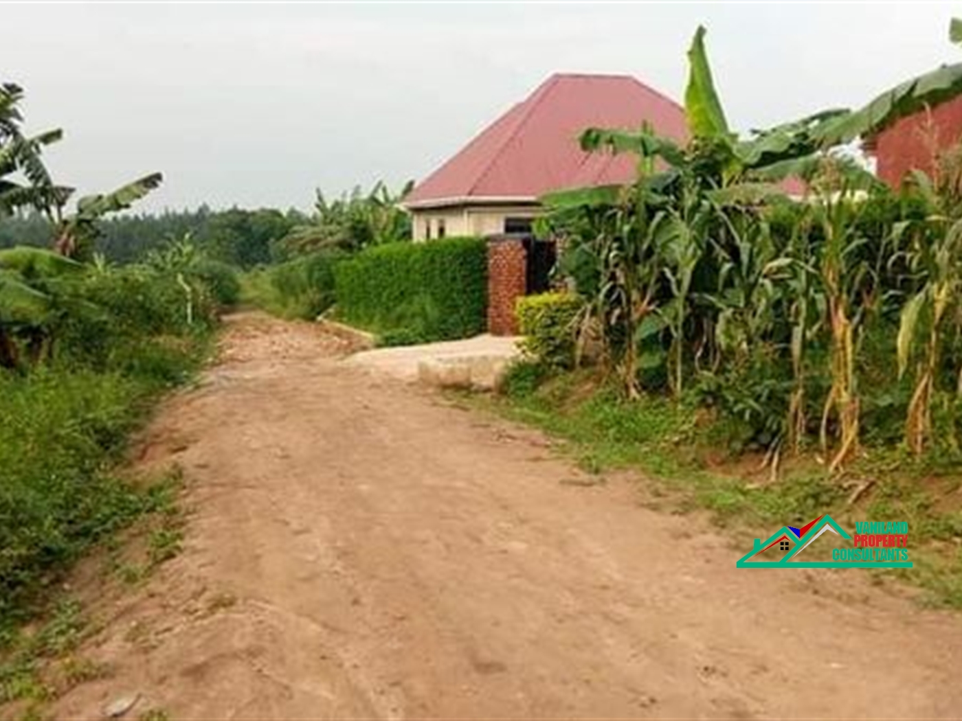 Residential Land for sale in Kayunga Wakiso