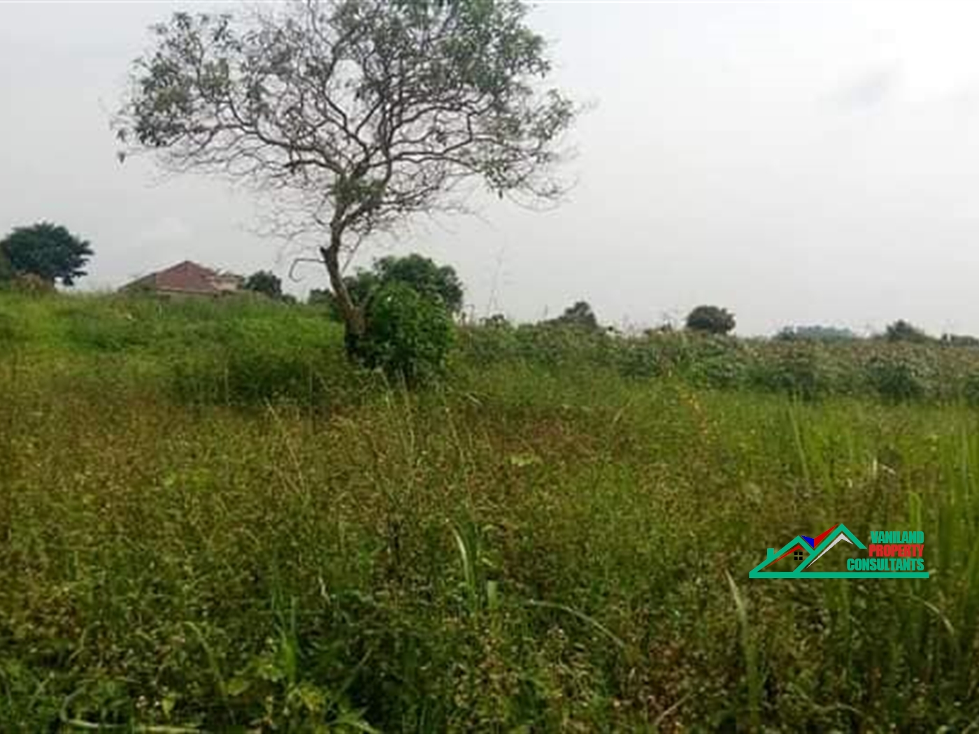 Residential Land for sale in Kayunga Wakiso