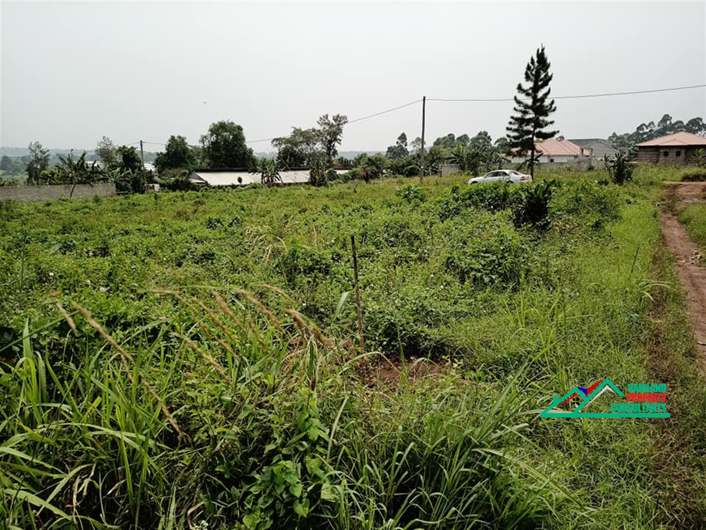Residential Land for rent in Kira Wakiso