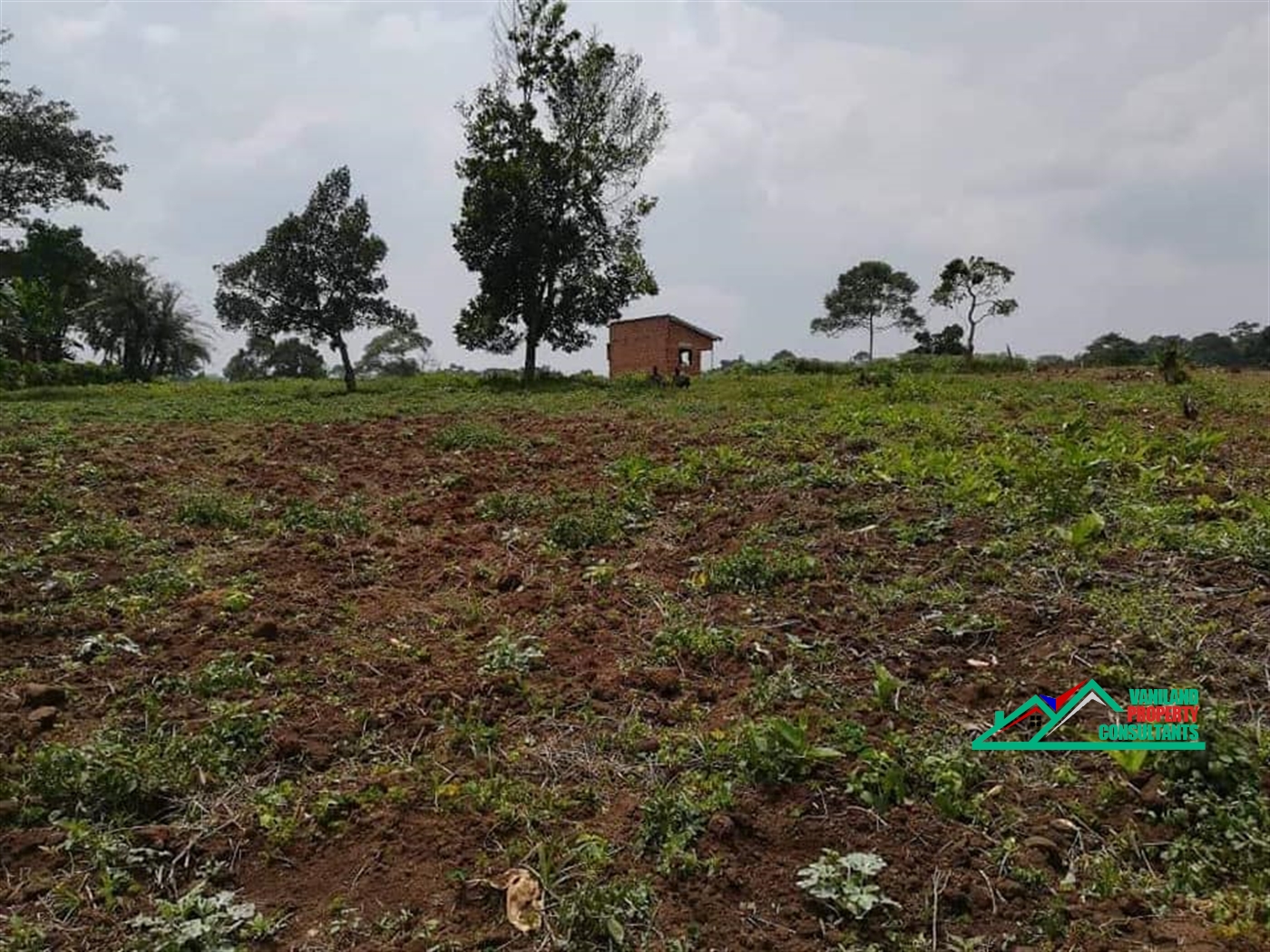 Residential Land for sale in Mukono Mukono