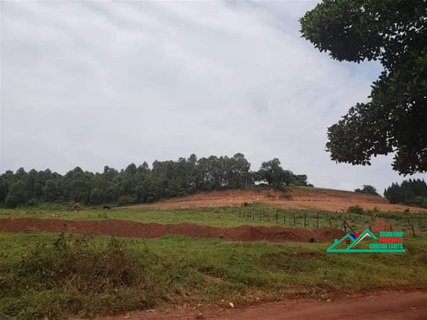 Residential Land for sale in Gayaza Wakiso