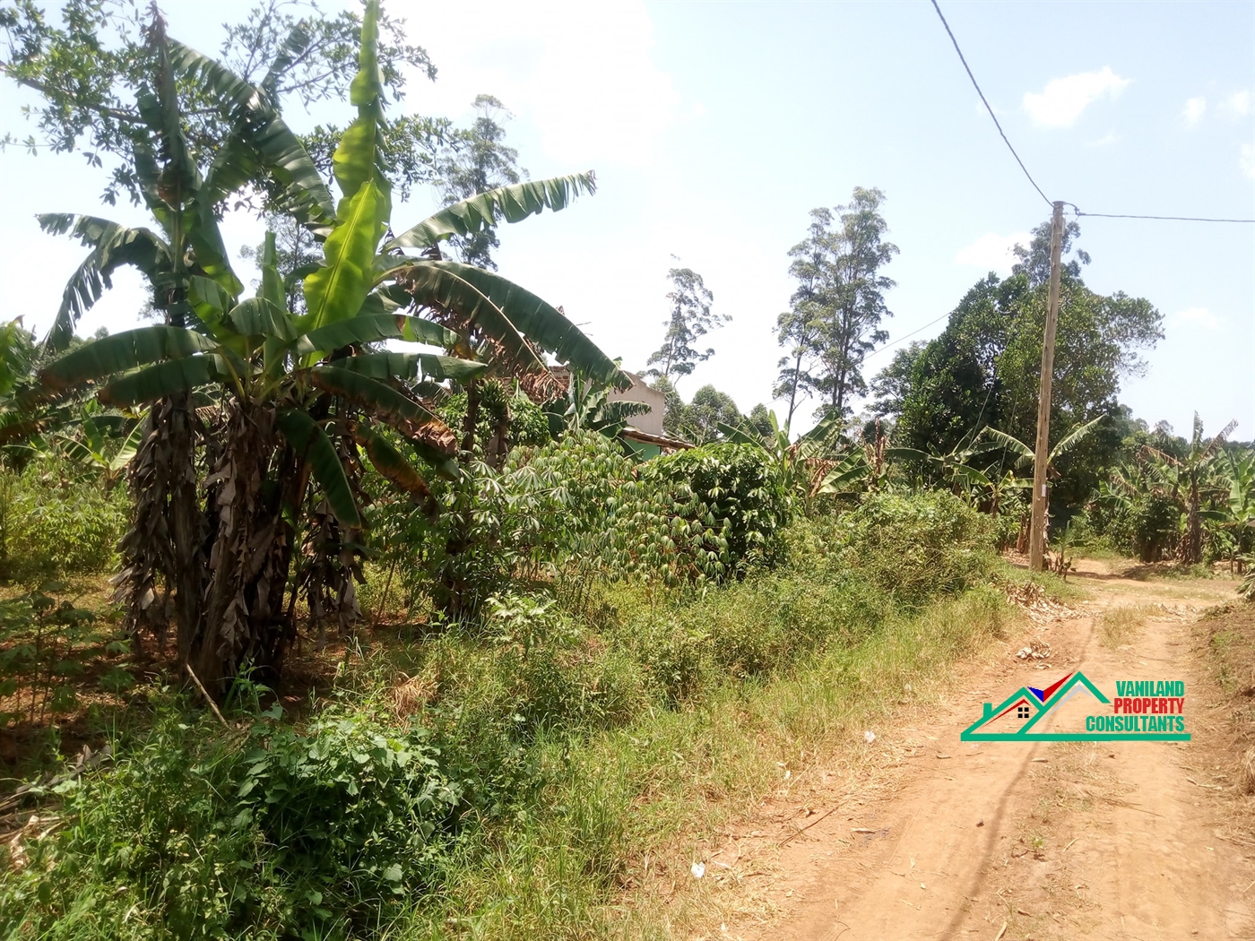 Residential Land for sale in Kiwugu Mukono