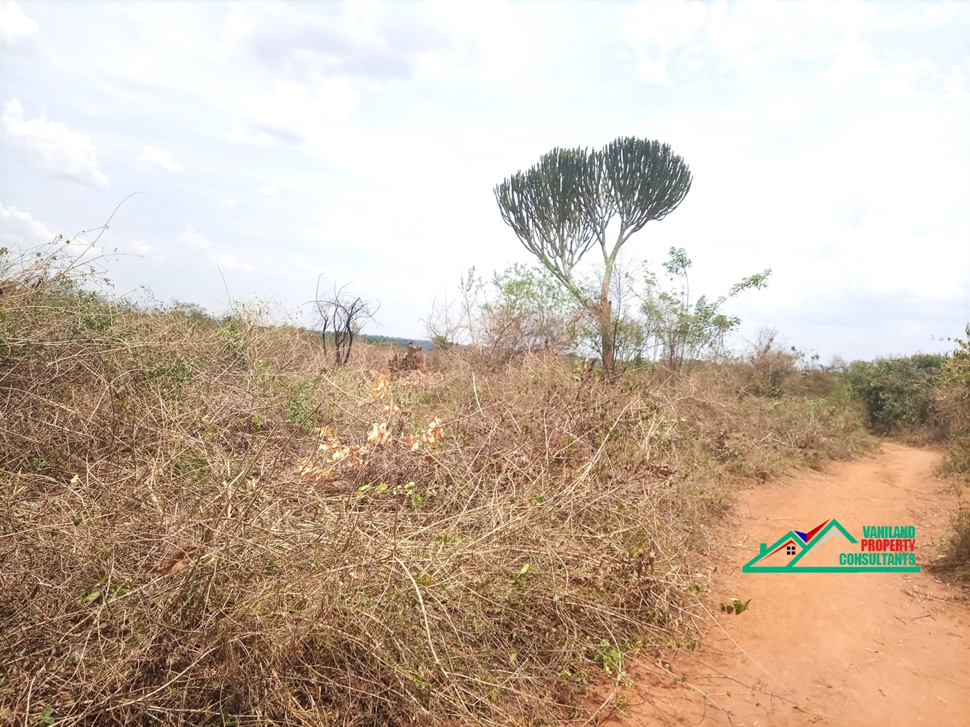 Agricultural Land for sale in Kayunga Kayunga