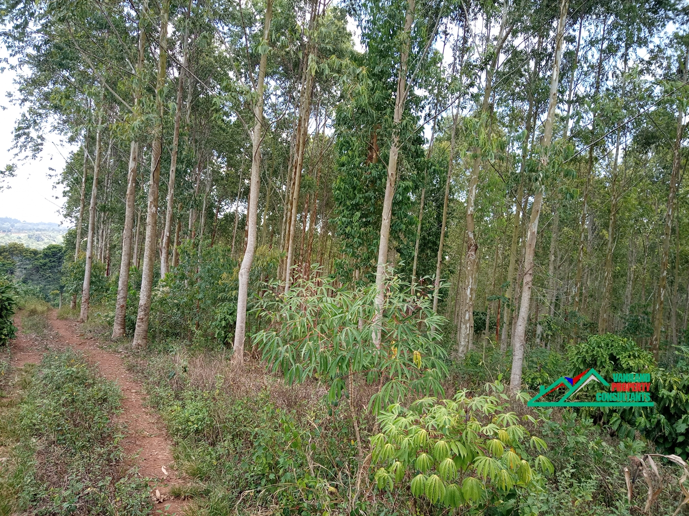 Agricultural Land for sale in Mukono Mukono