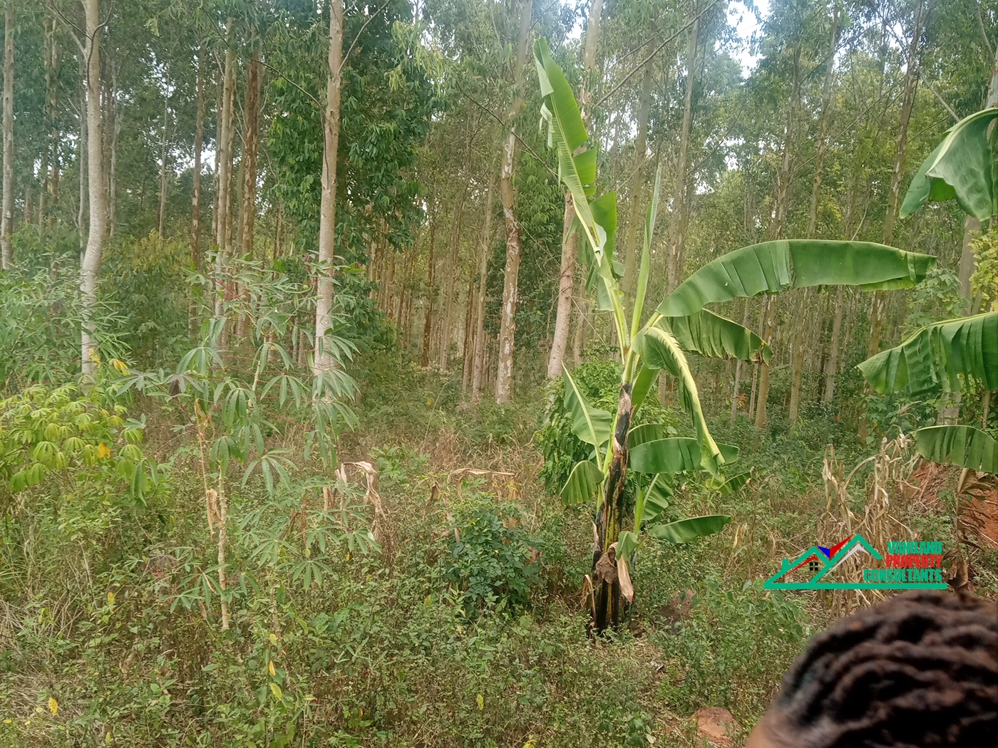 Agricultural Land for sale in Mukono Mukono