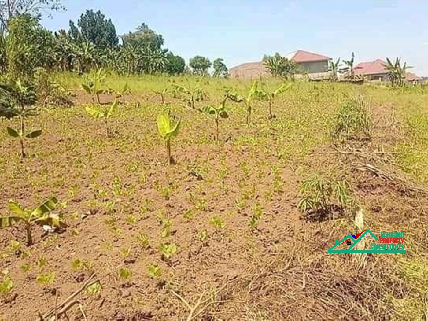 Residential Land for sale in Bukeelele Mukono