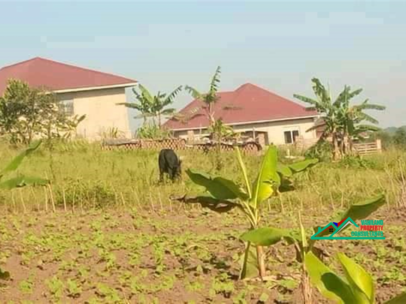 Residential Land for sale in Bukeelele Mukono