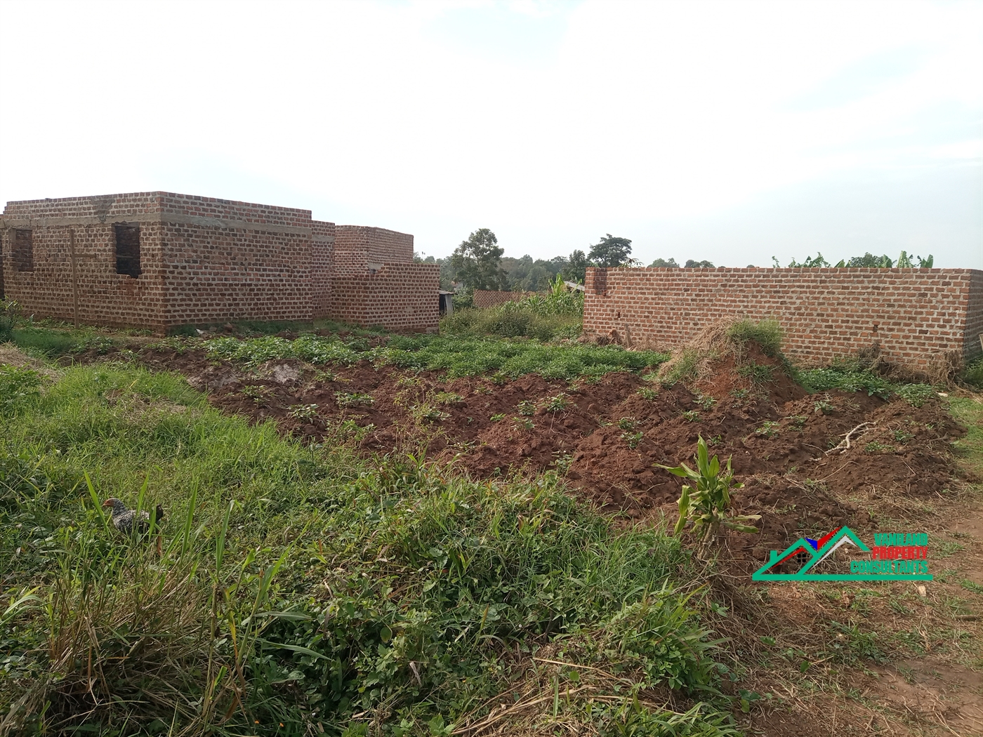 Residential Land for rent in Seeta Mukono