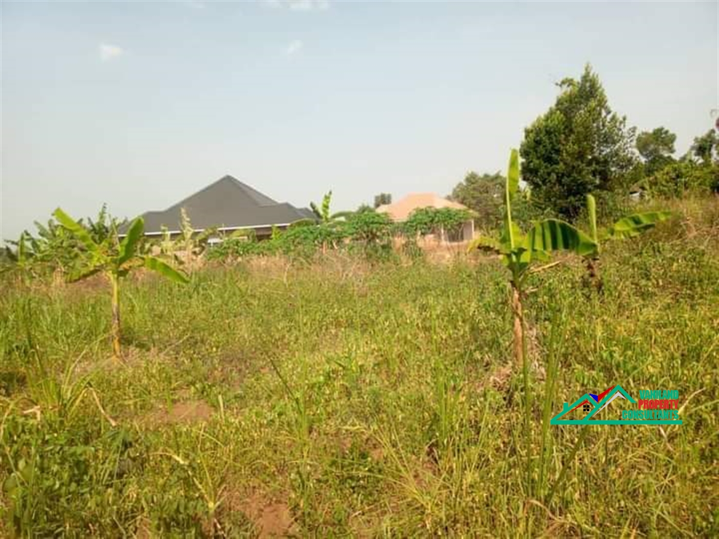 Multipurpose Land for sale in Bukeelele Mukono