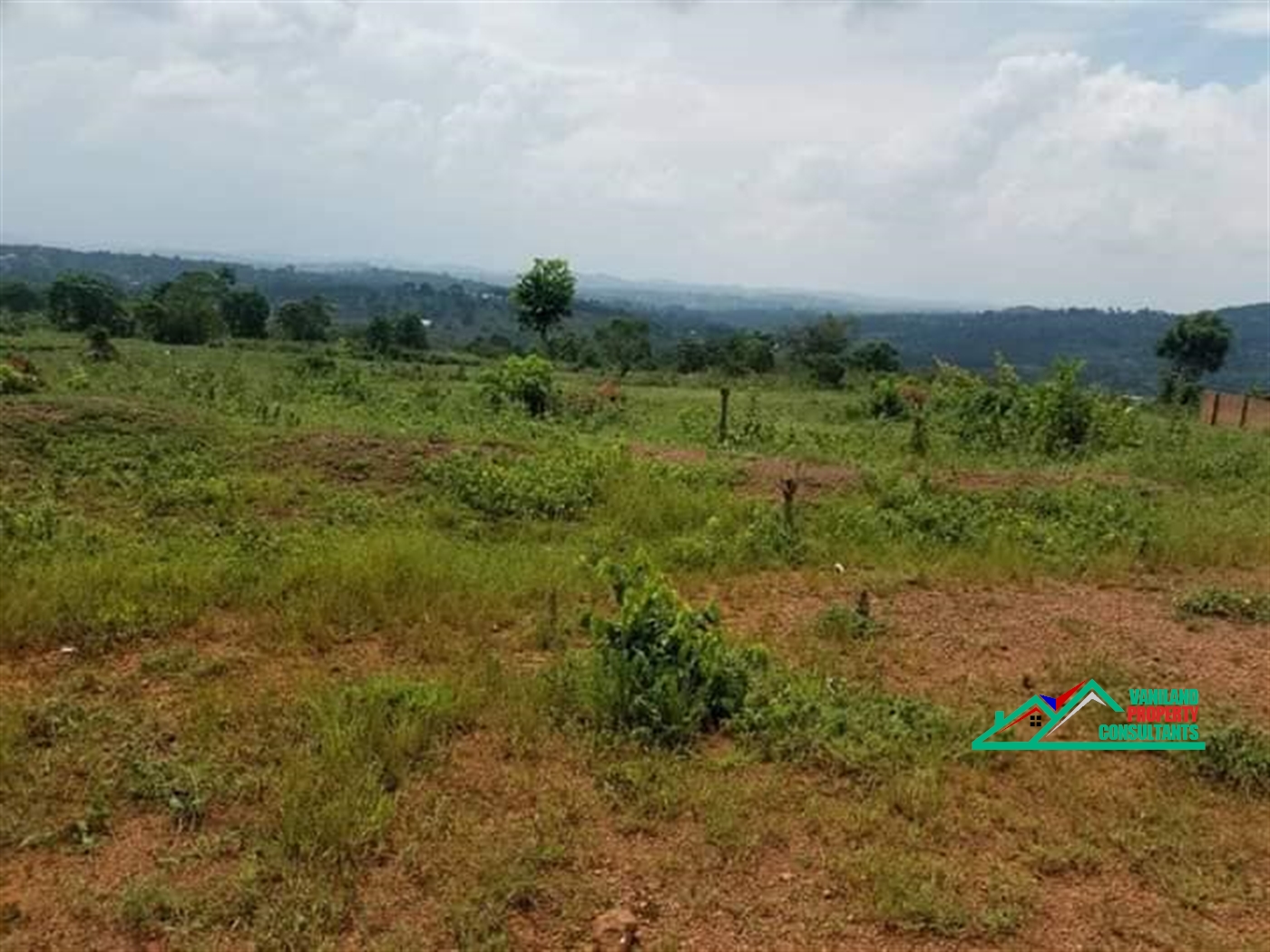 Residential Land for sale in Bukeelere Mukono