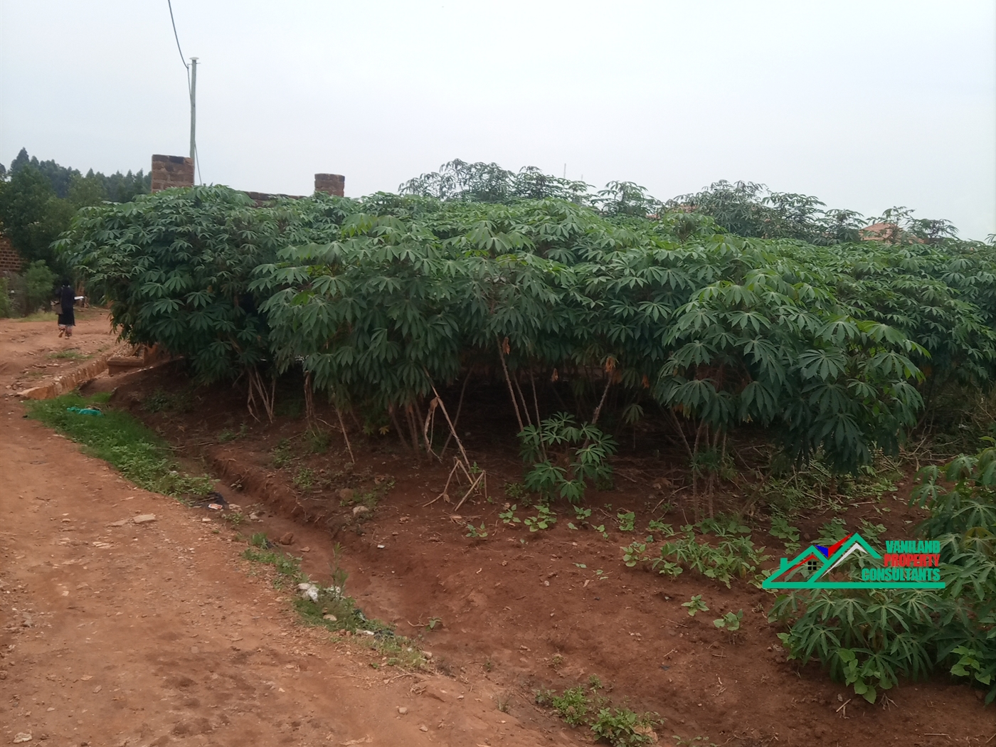 Residential Land for sale in Sonde Mukono