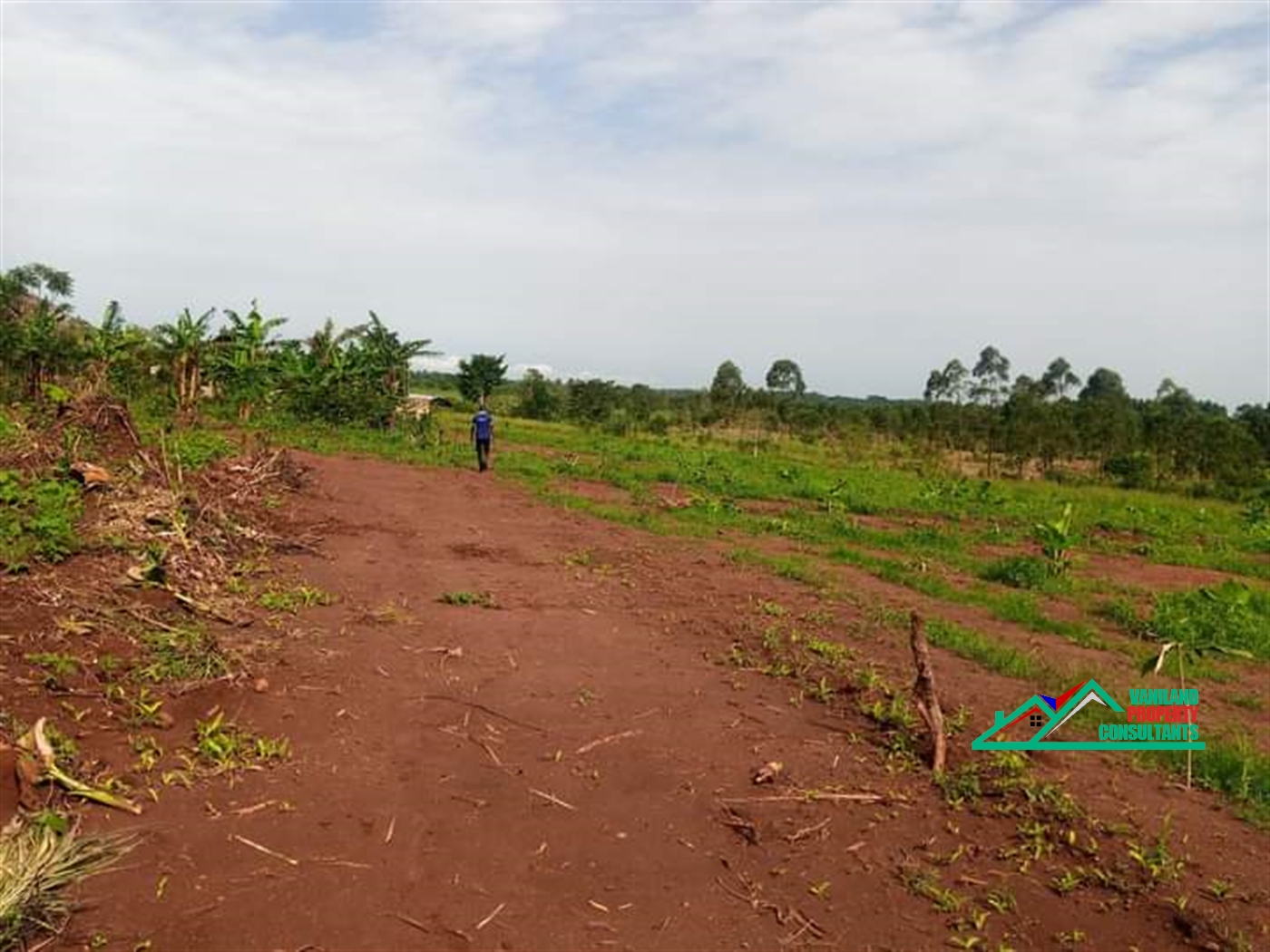 Multipurpose Land for sale in Mukono1 Mukono