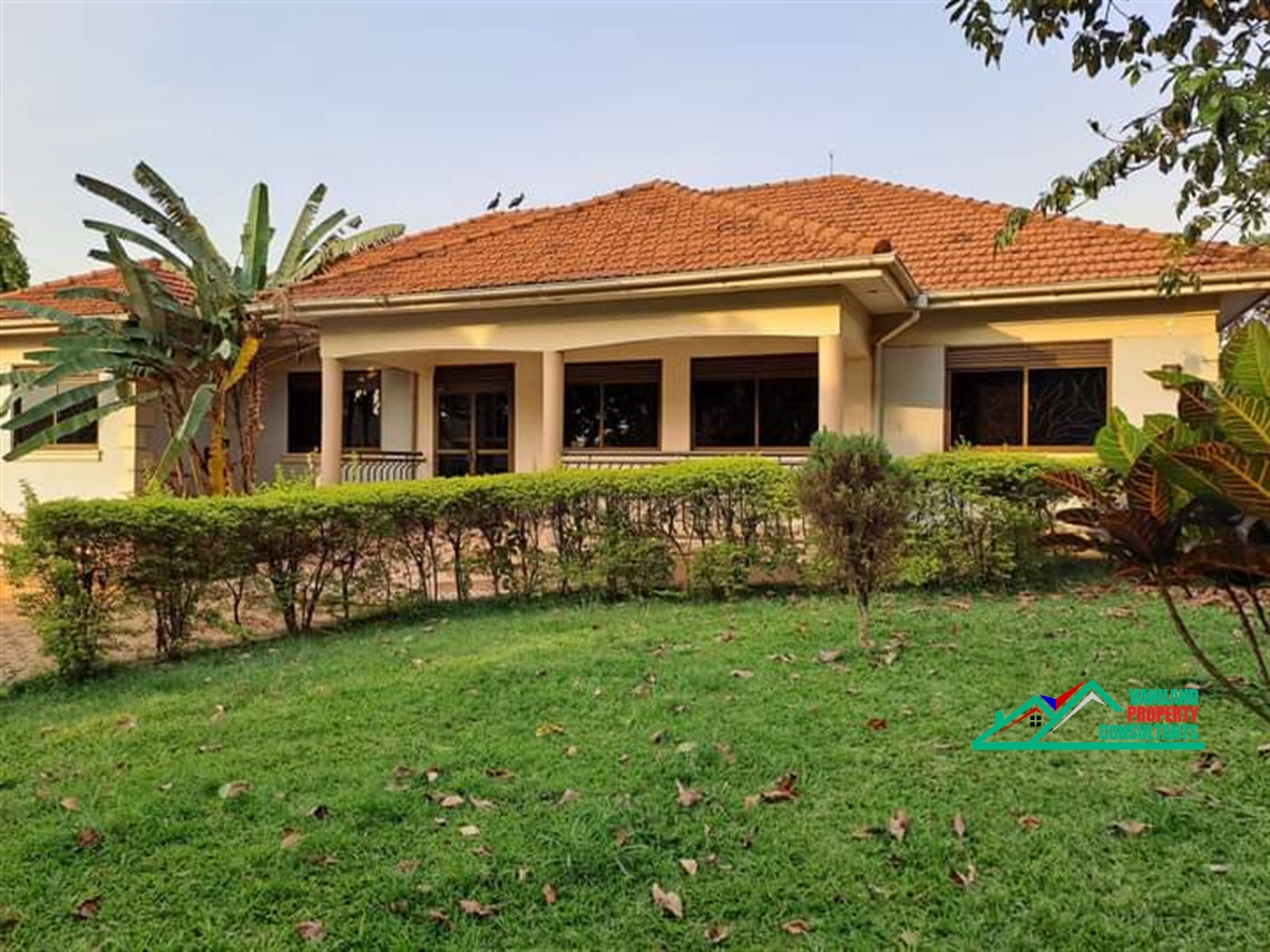 Bungalow for rent in Kulambilo Kampala