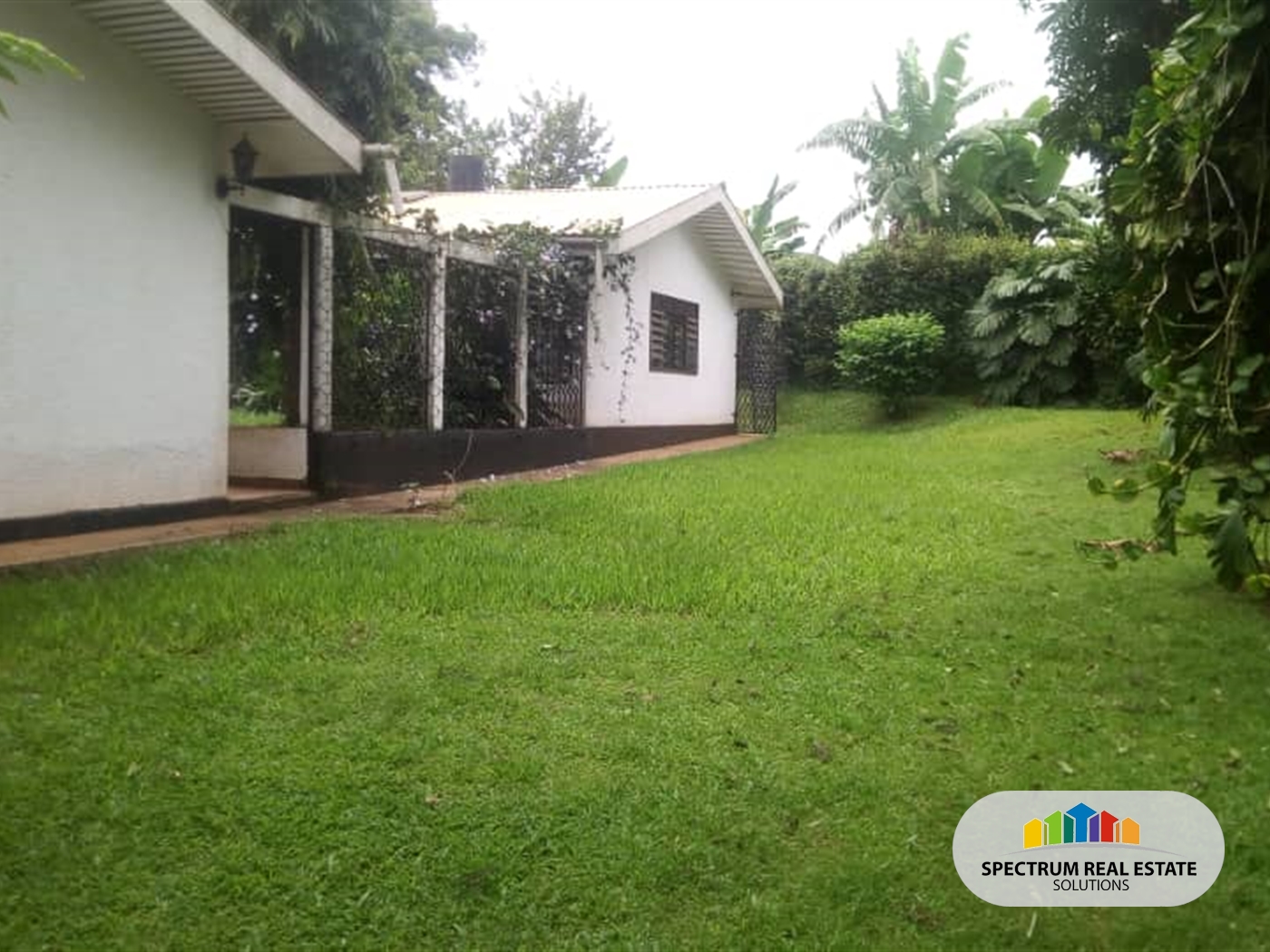 Bungalow for sale in Bugoloobi Kampala