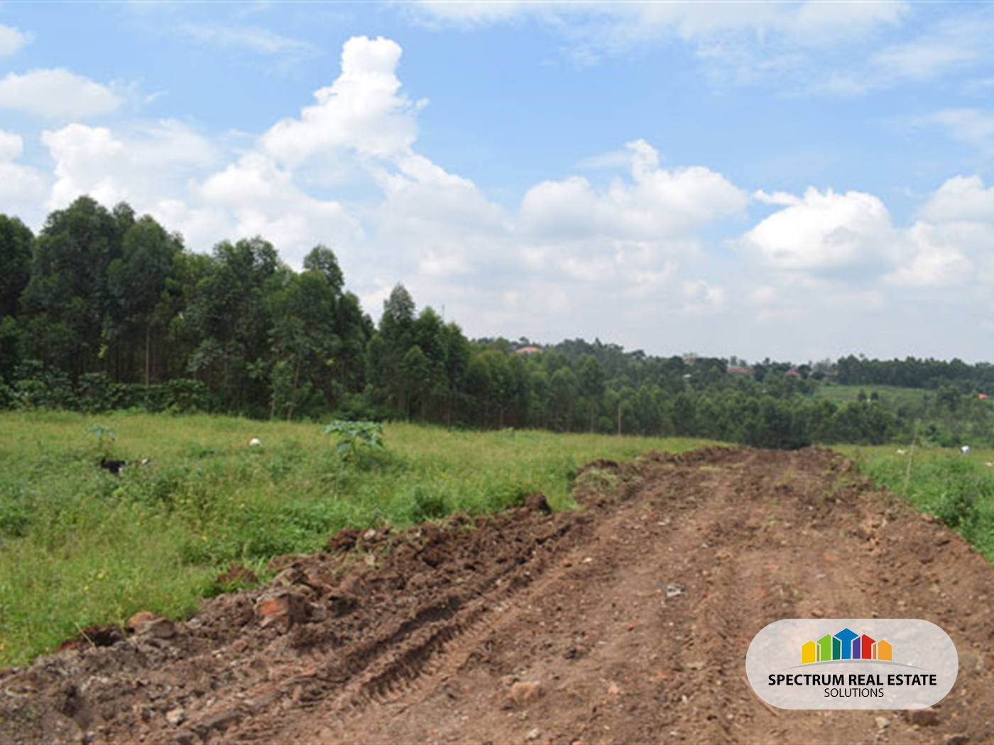 Residential Land for sale in Manyangwa Wakiso