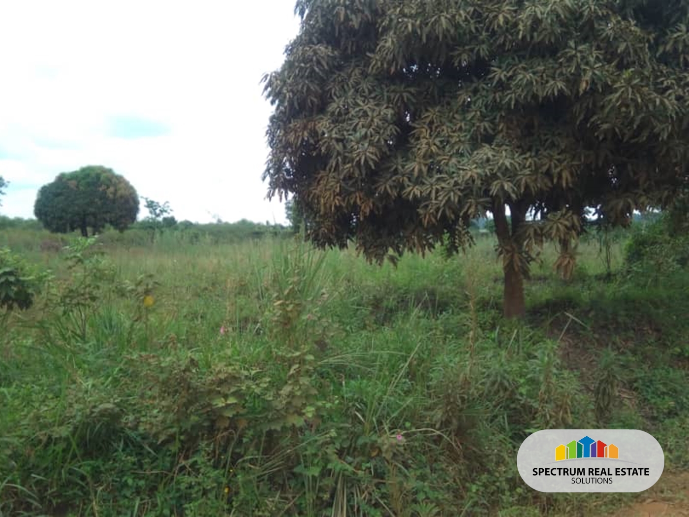 Agricultural Land for sale in Buzibwela Luweero