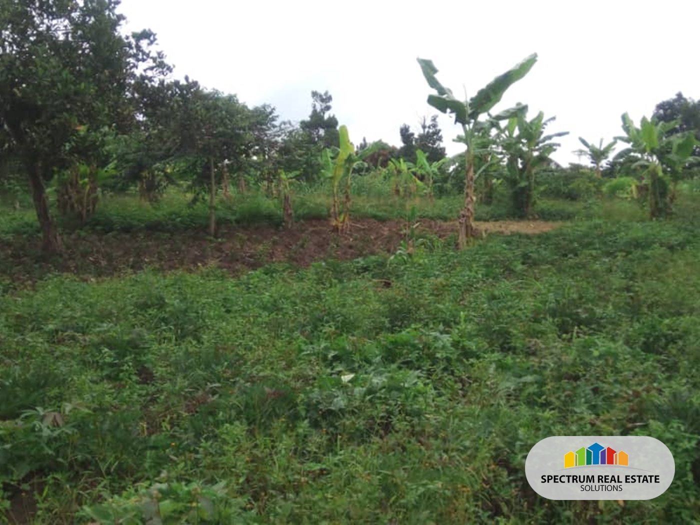 Residential Land for sale in Kiwenda Wakiso