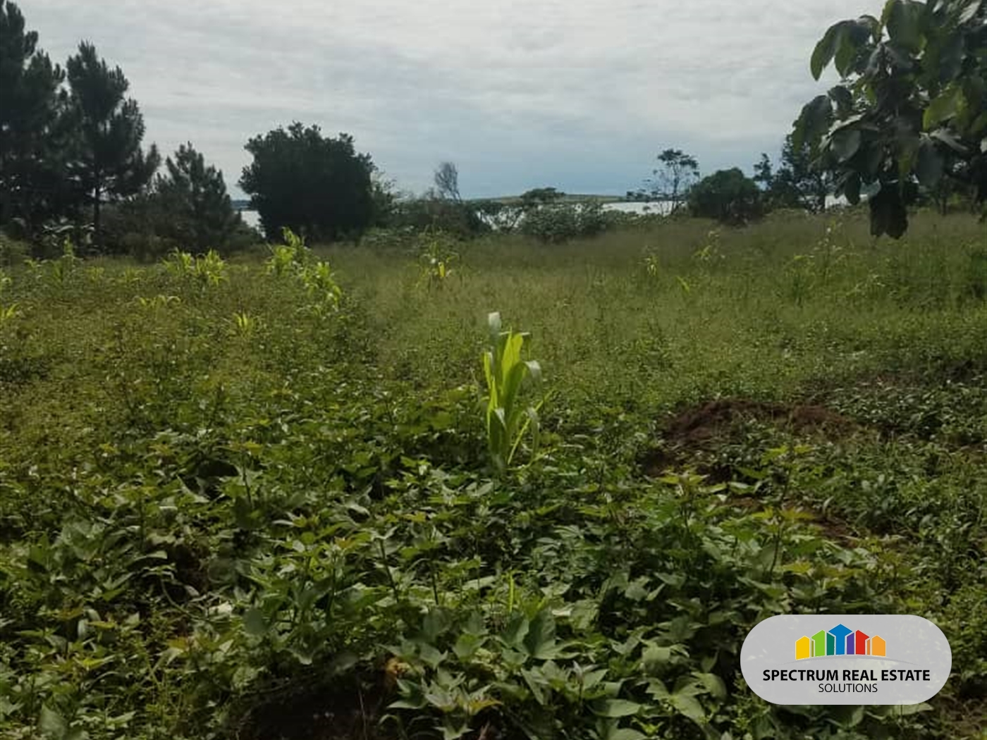 Residential Land for sale in Kasanjje Wakiso