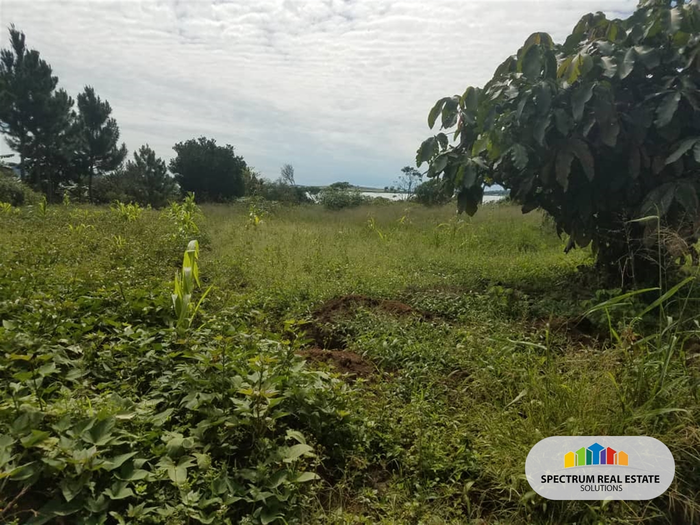 Residential Land for sale in Kasanjje Wakiso