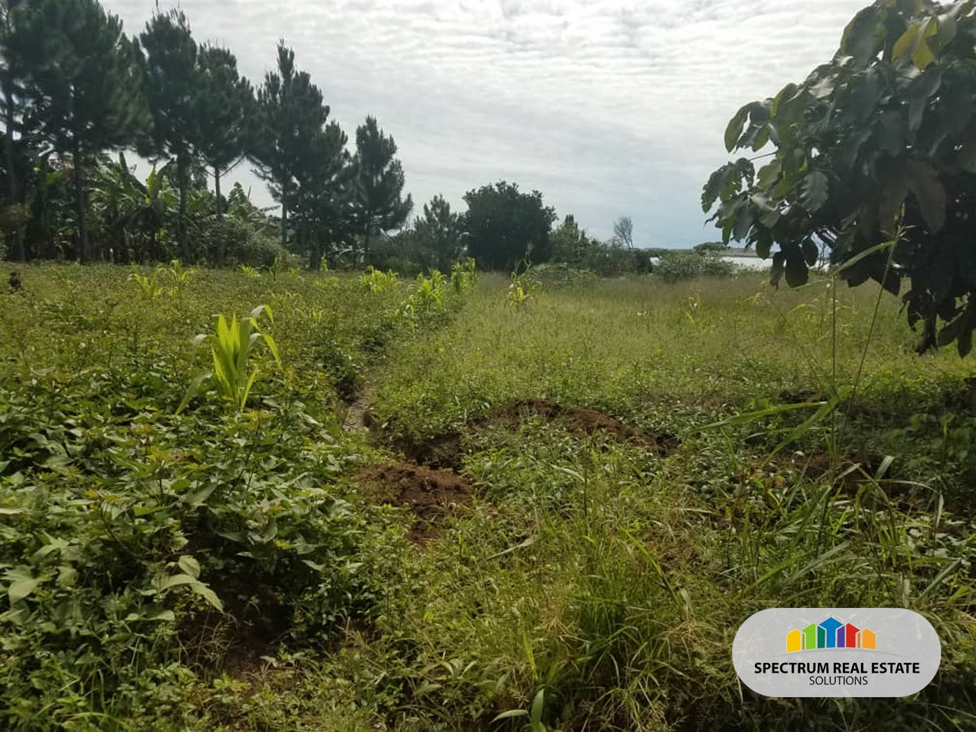 Residential Land for sale in Kasanjje Wakiso