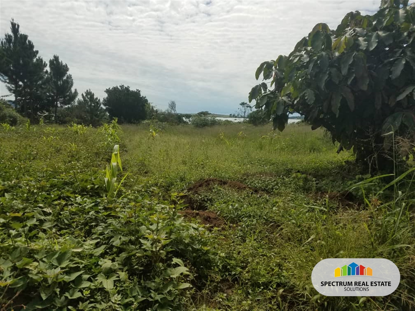 Residential Land for sale in Kasanjje Wakiso