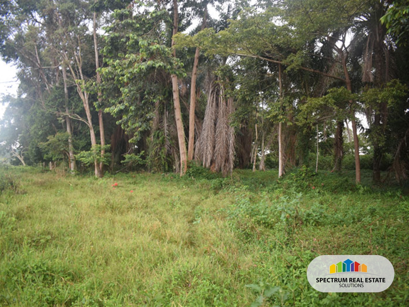 Residential Land for sale in Bugiri Wakiso