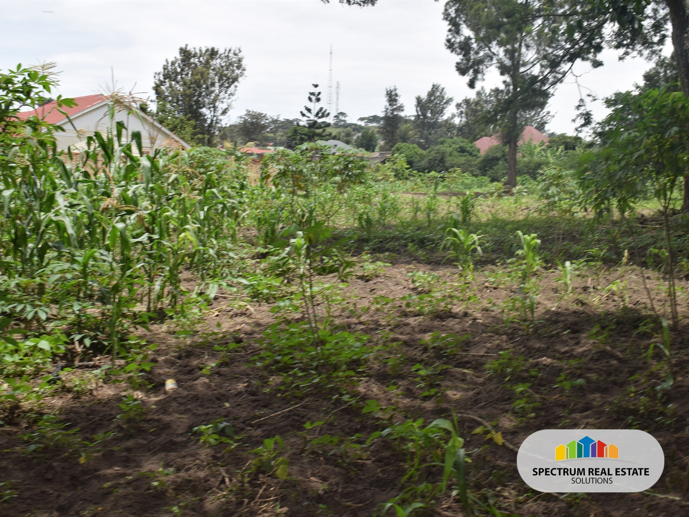 Residential Land for sale in Mbarara Mbarara