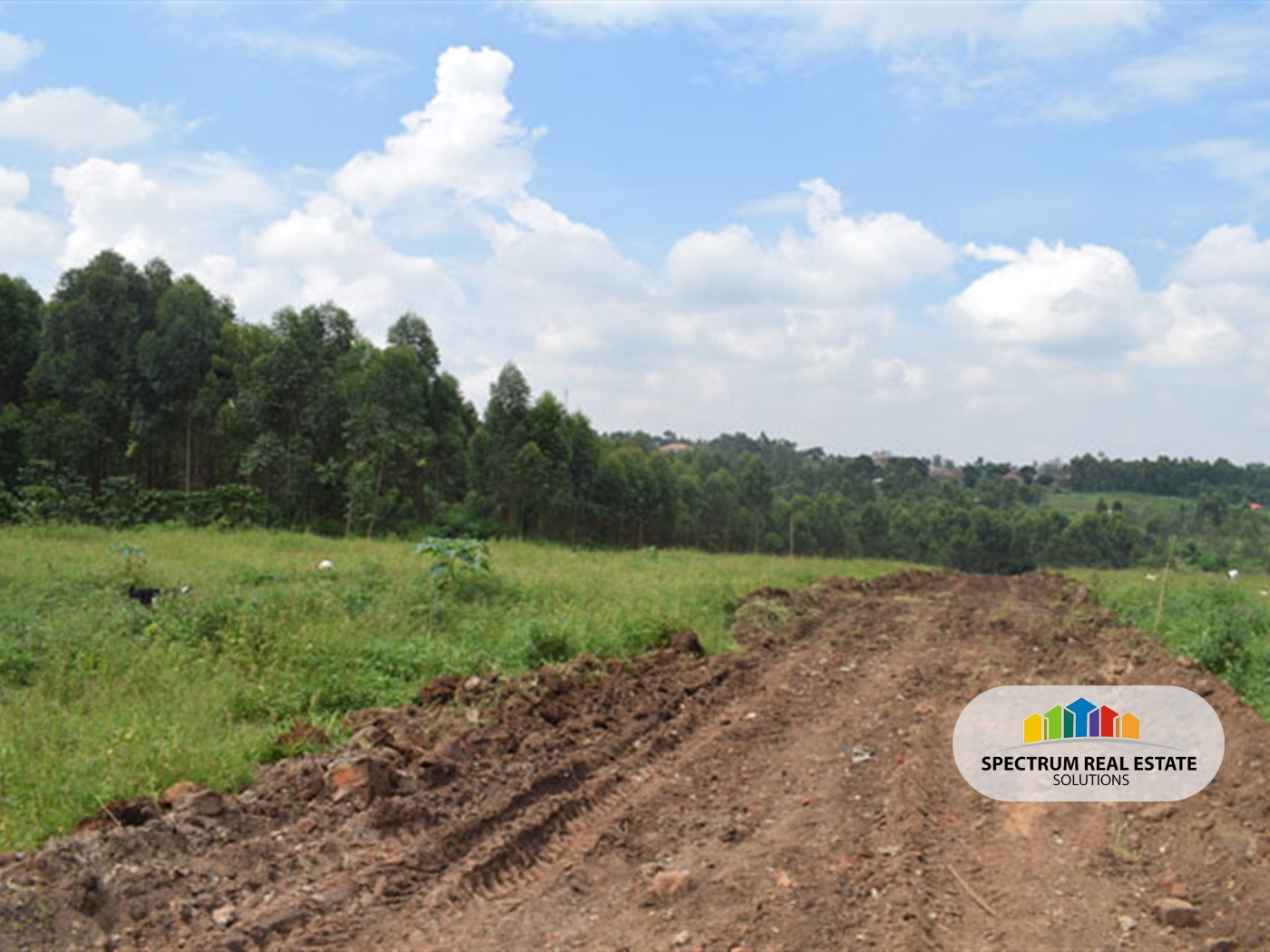 Residential Land for sale in Manyangwa Wakiso