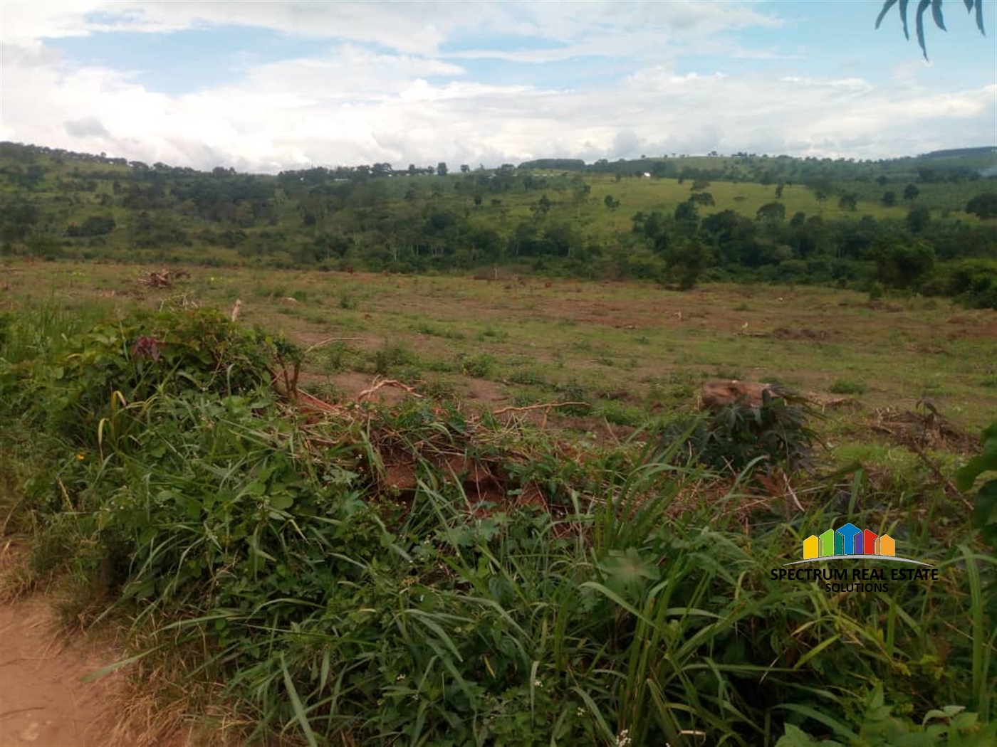 Residential Land for sale in Bujuuko Mpigi