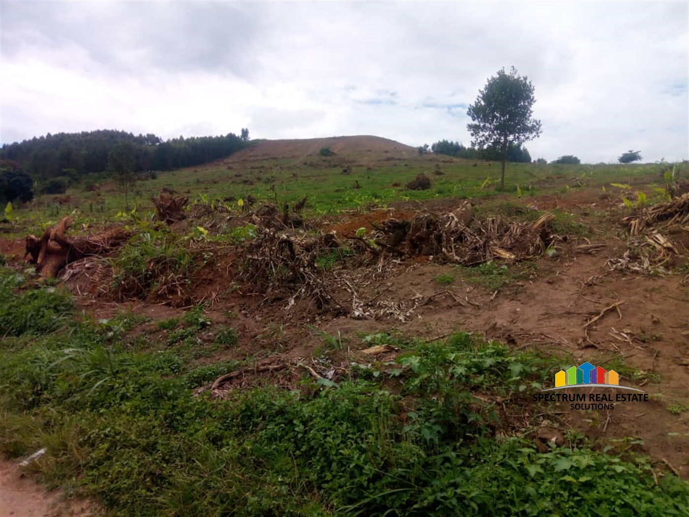 Residential Land for sale in Bujuuko Mpigi