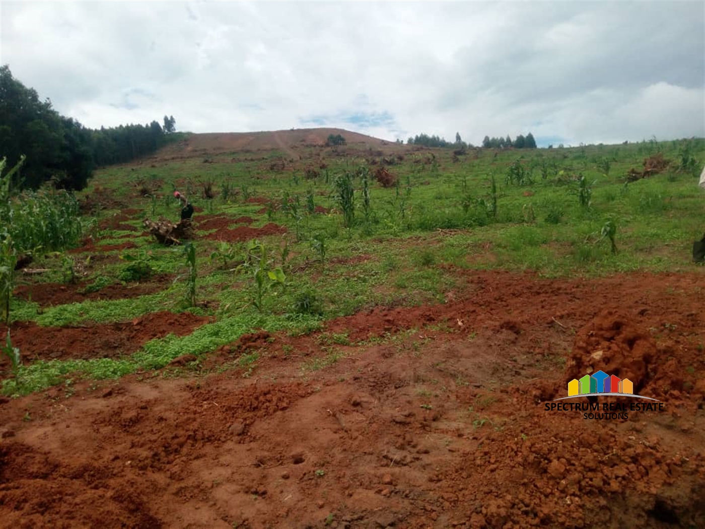 Residential Land for sale in Bujuuko Mpigi