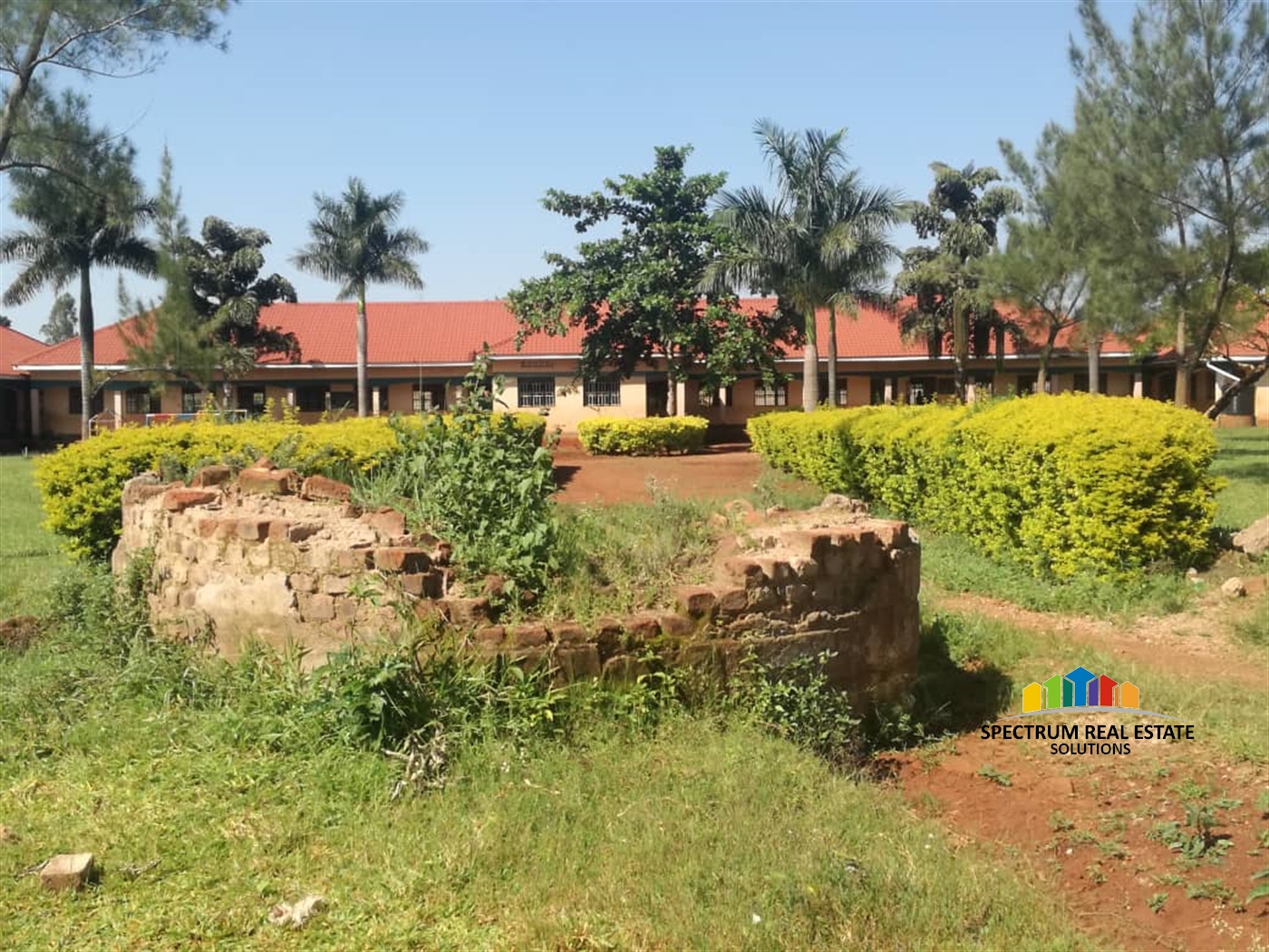 School for sale in Busia Busia